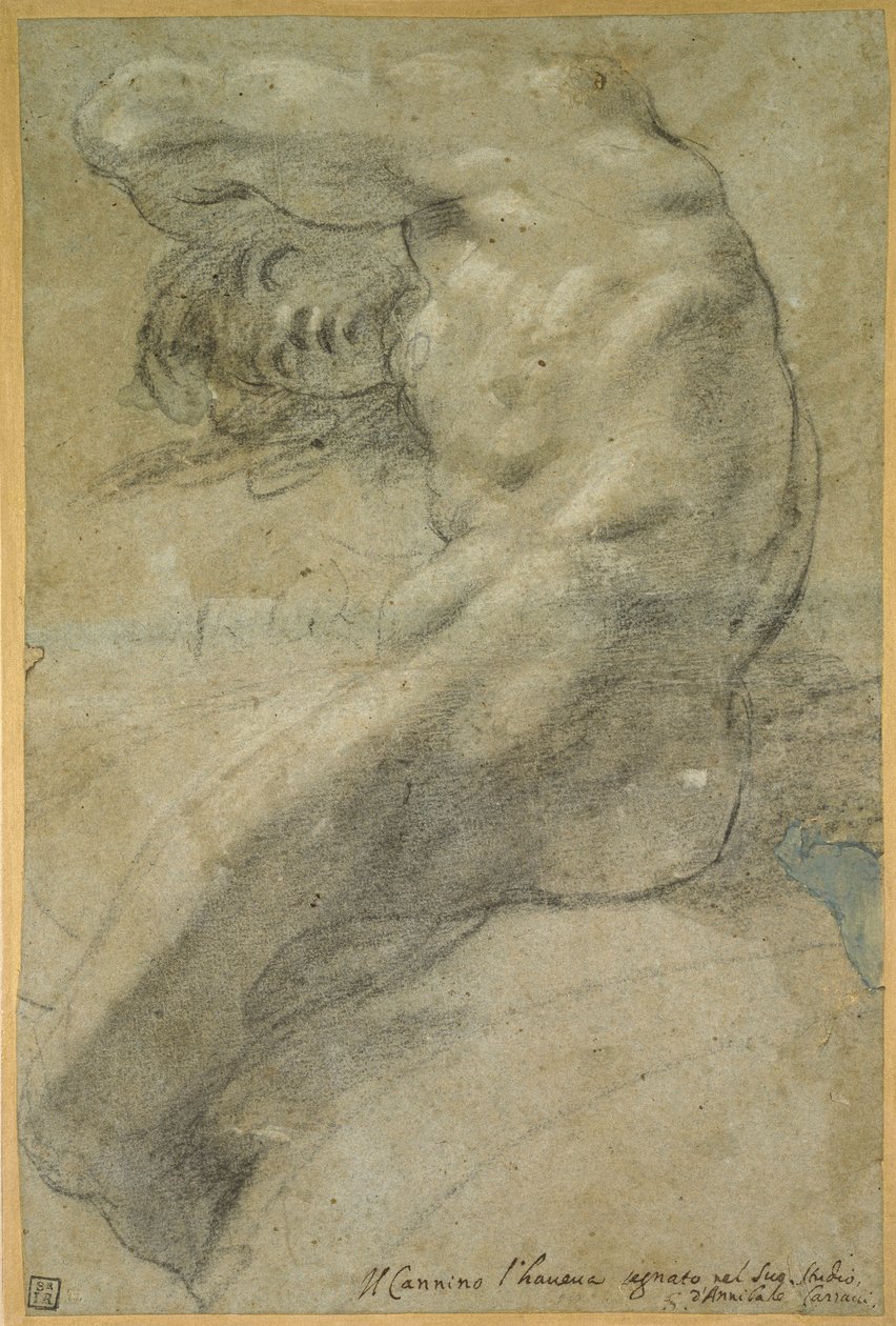 Studie van een naakte man door Annibale Carracci
