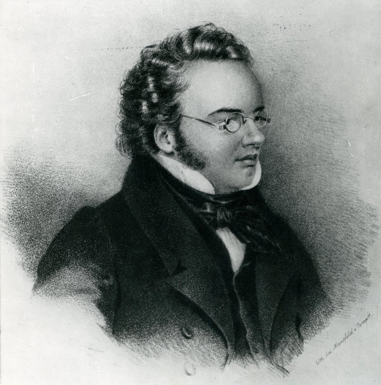 Portret van Franz Schubert (1797-1828) door Unbekannt Unbekannt