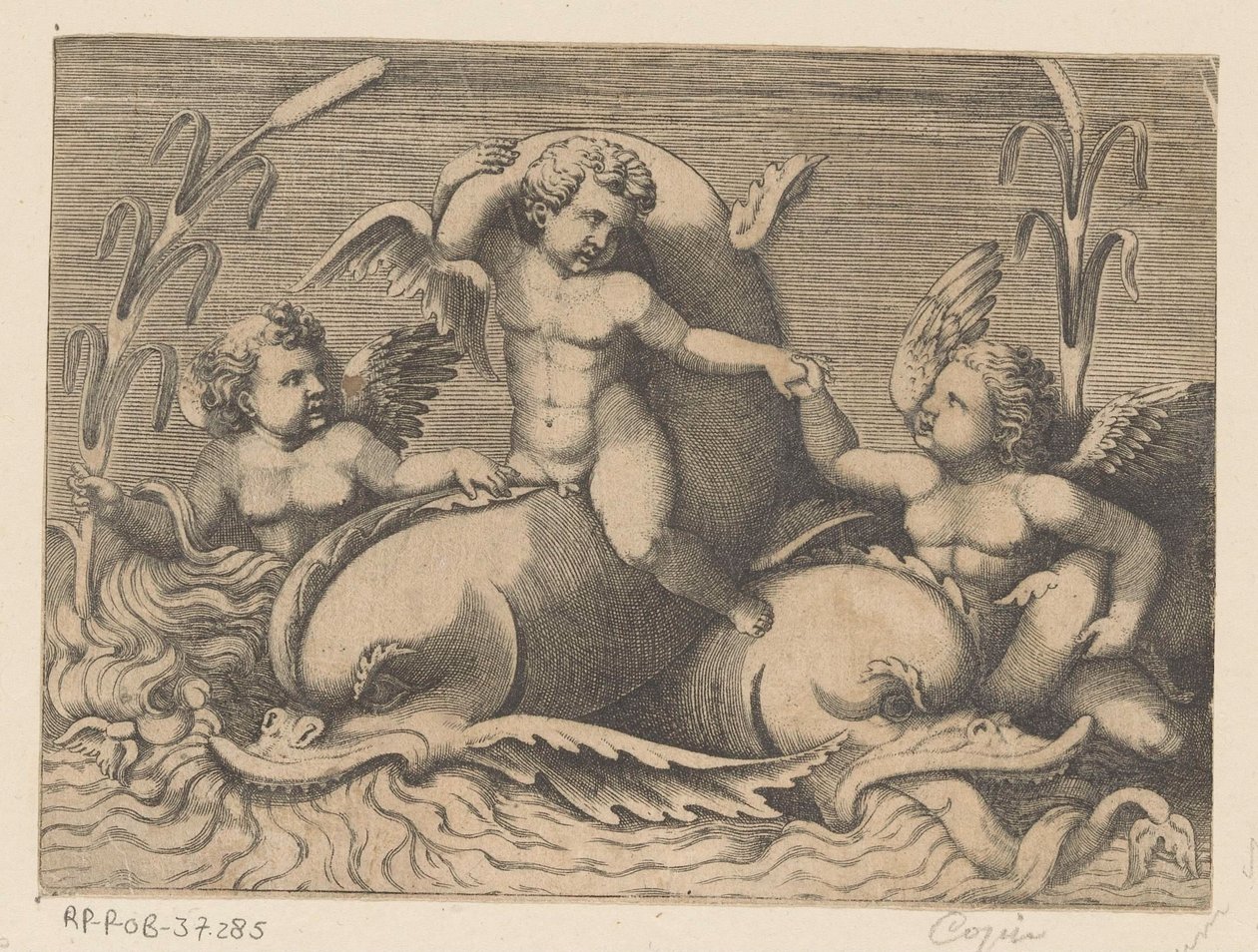 Drie putti met dolfijnen door Anonymous