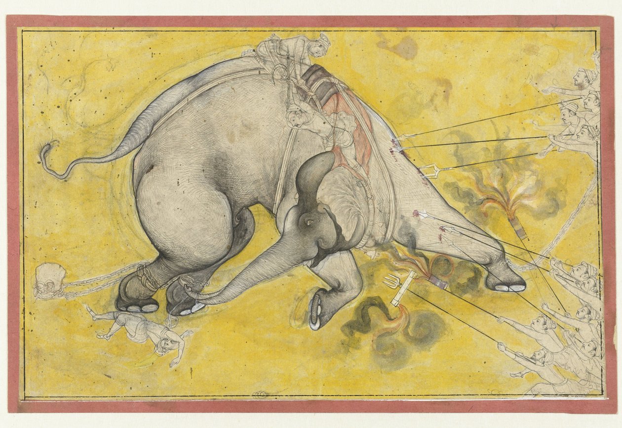 Het temmen van de wilde olifant door Anonymous