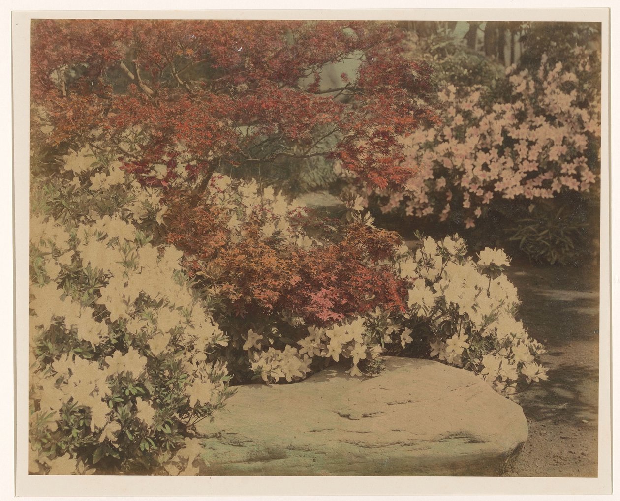 Japanse tuin met bloemen door Anonymous