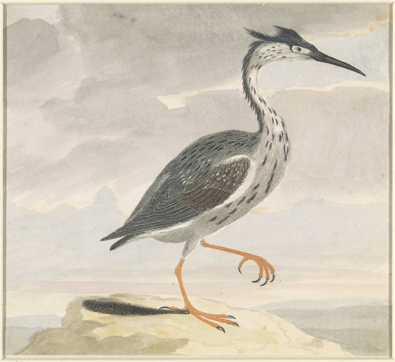 Reiger door Anonymous