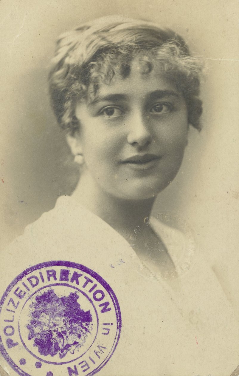 Rijbewijs van Elsa Silberstein door Anonymous