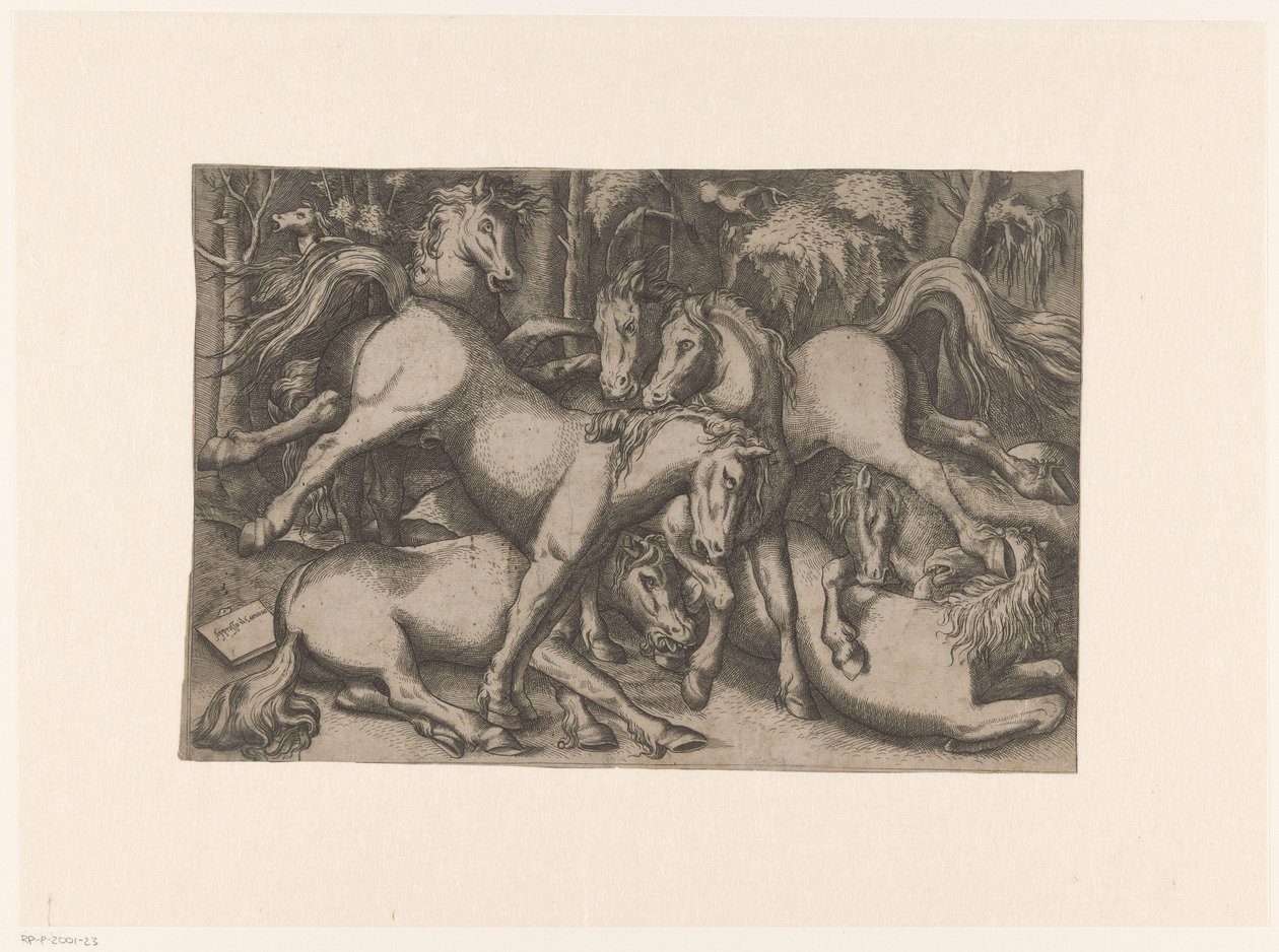 Vechtende paarden door Anonymous