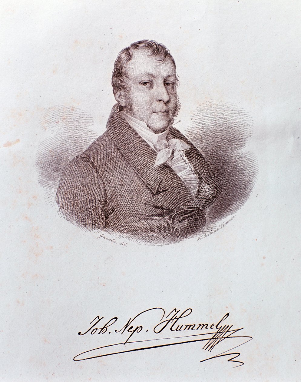 Portret van Johann Nepomuk Hummel. Gravure door Anonymous Anonymous
