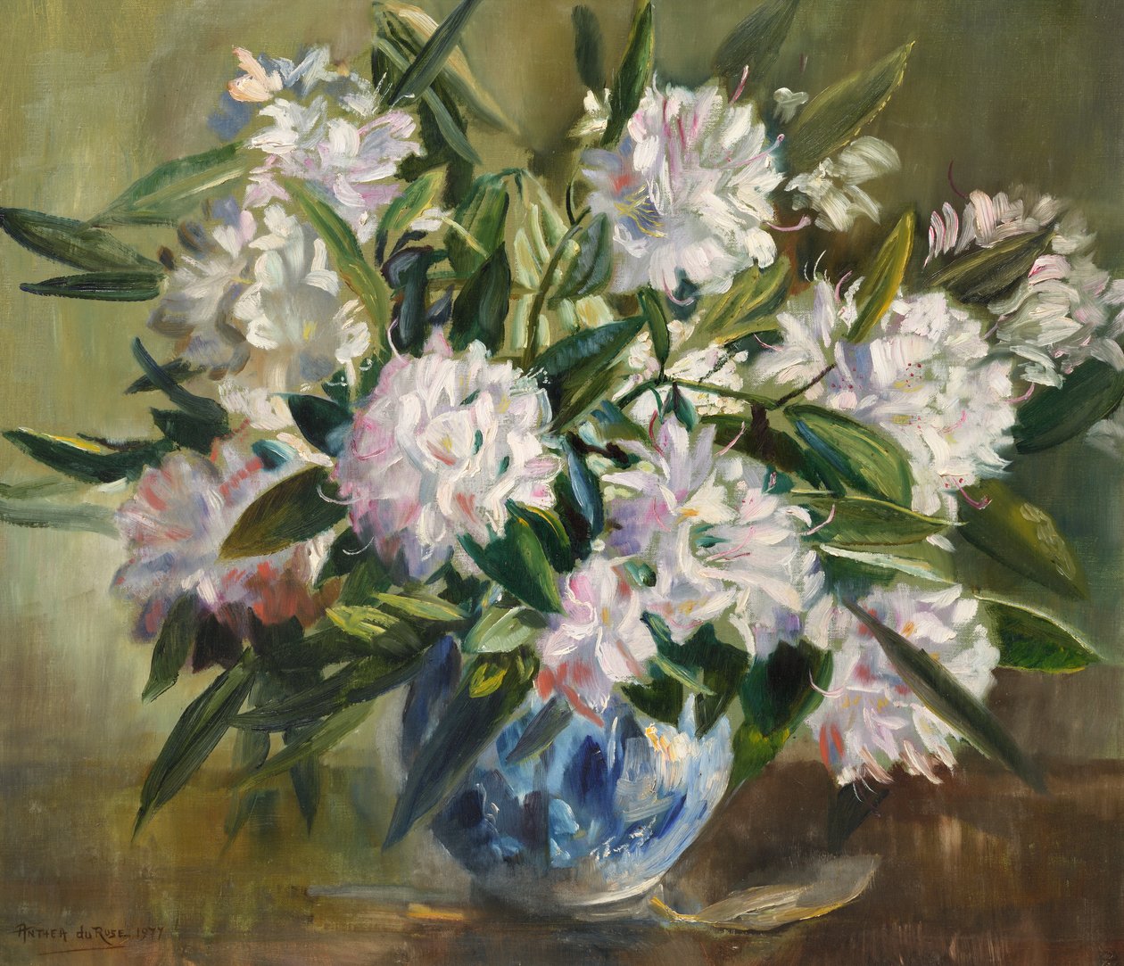 Rhododendrons, bleek wit en roze door Anthea Durose