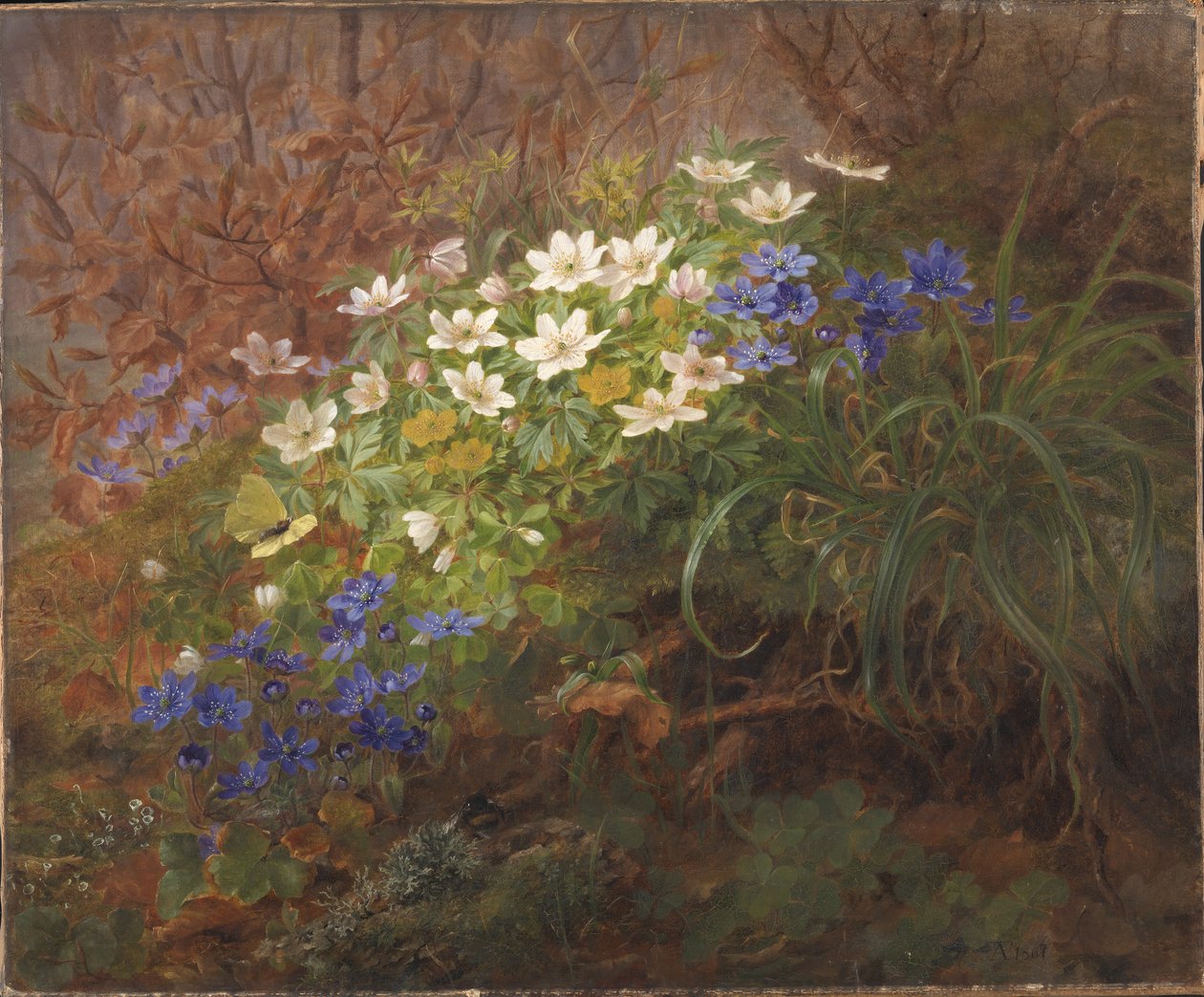 Anemonen door Anthonie Christensen