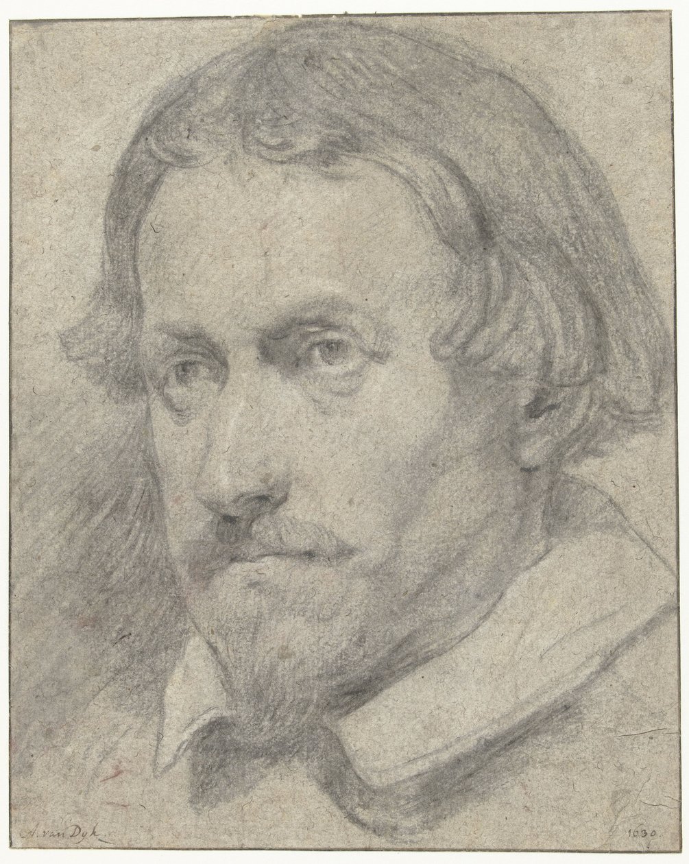Manskop door Anthony van Dyck (possibly)