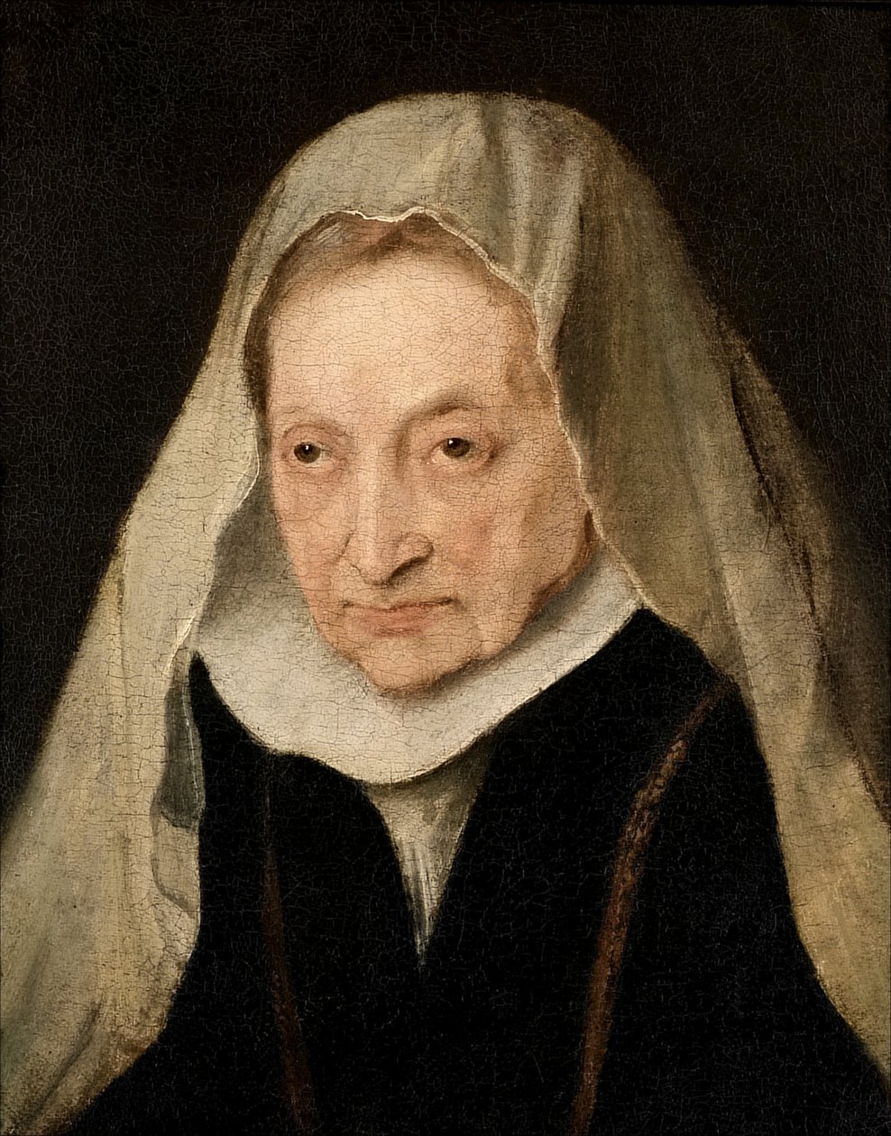 Sofonisba Anguissola (Cremona 1530/6-1625) door Anthony van Dyck