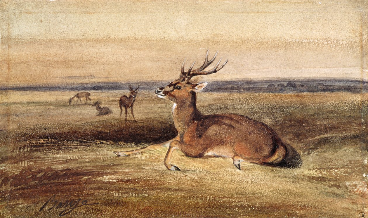 Rustend hert door Antoine Louis Barye