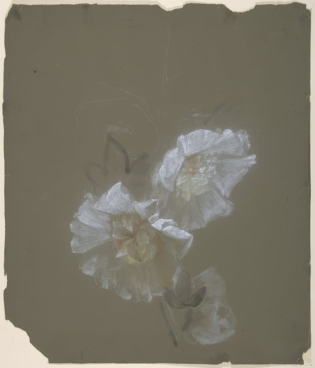 Floraal ontwerp door Antoine Berjon