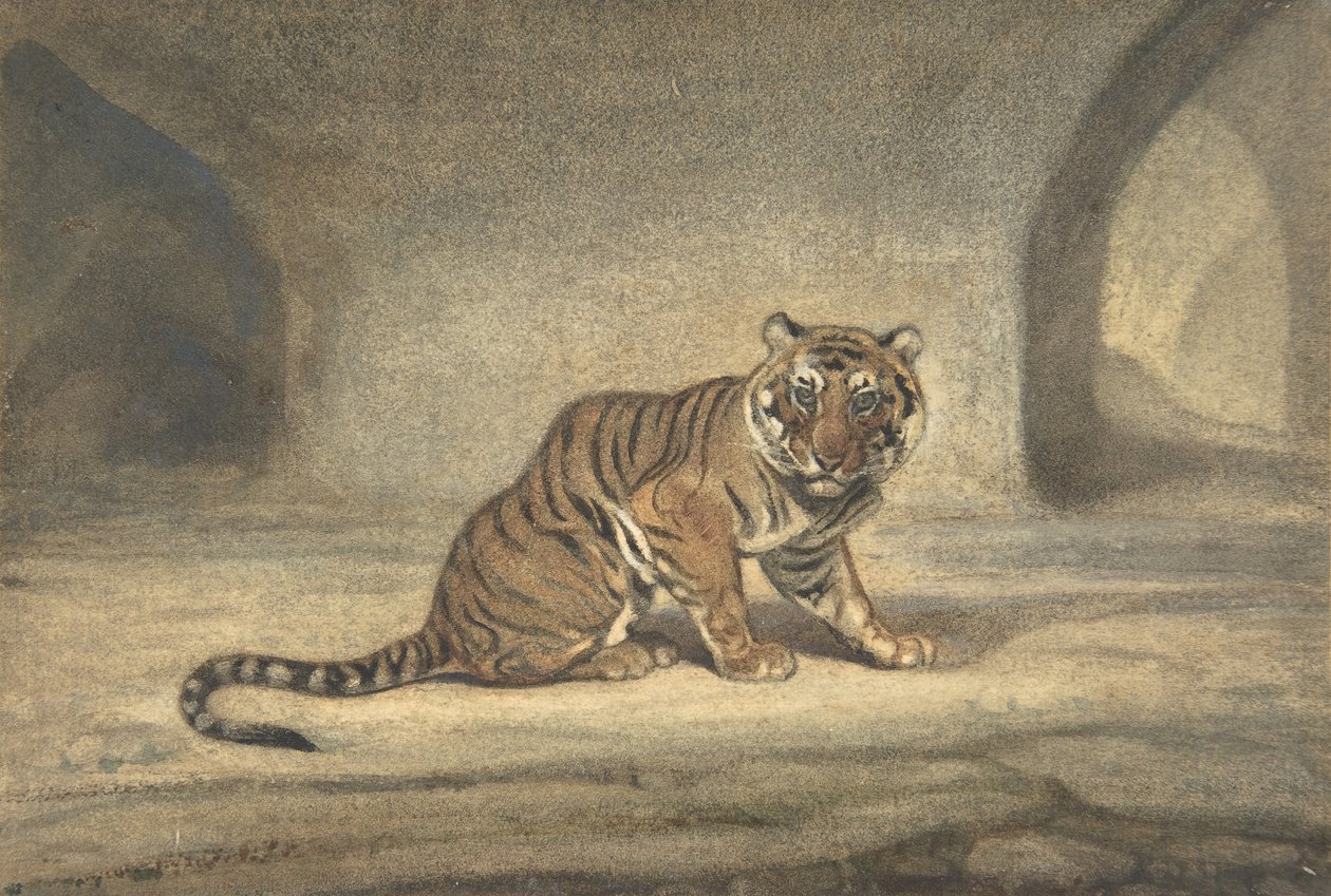 Tijger, 1810-75 door Antoine Louis Barye