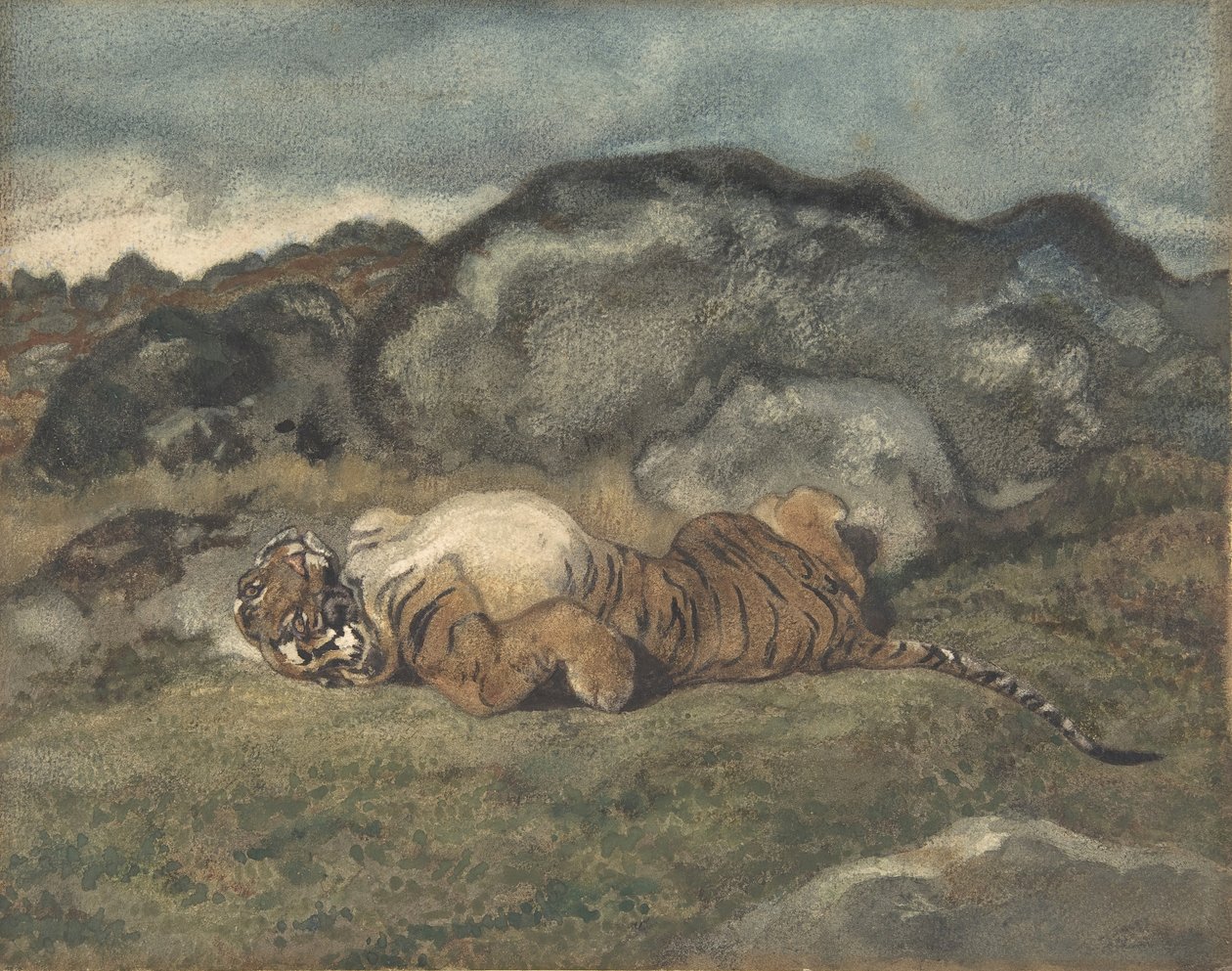 Tijger rolt op zijn rug, 1810-75 door Antoine Louis Barye
