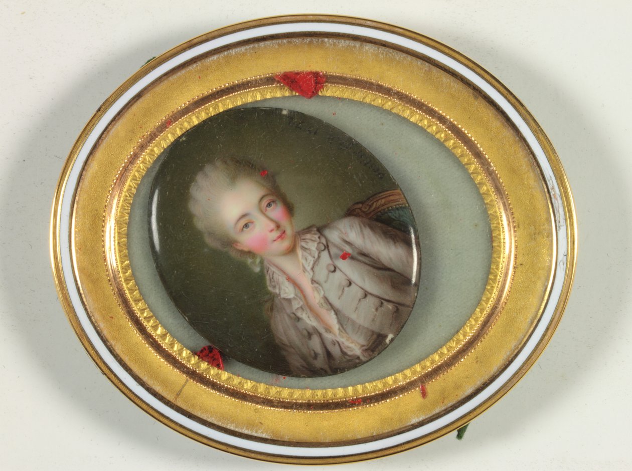 La Comtesse du Barry door Antoine Vestier