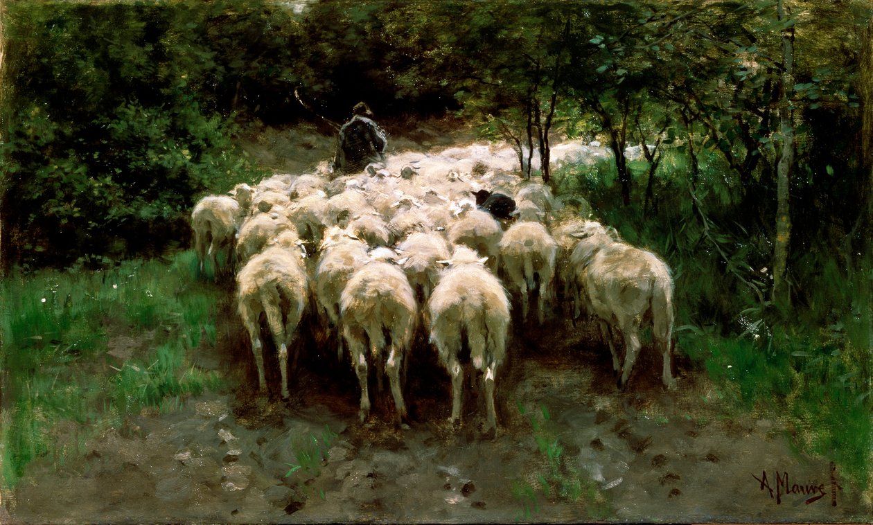 Schapen in het bos, 19e eeuw door Anton Mauve