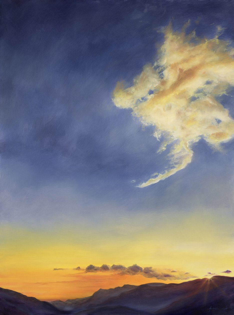Vaders Vreugde (Wolkenlandschap), 2001 door Antonia Myatt