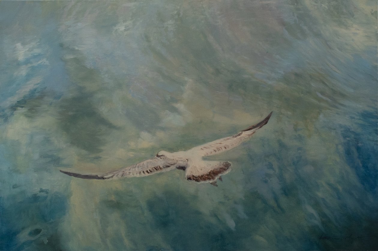 Meeuw met uitgespreide vleugels, 2012 door Antonia Myatt
