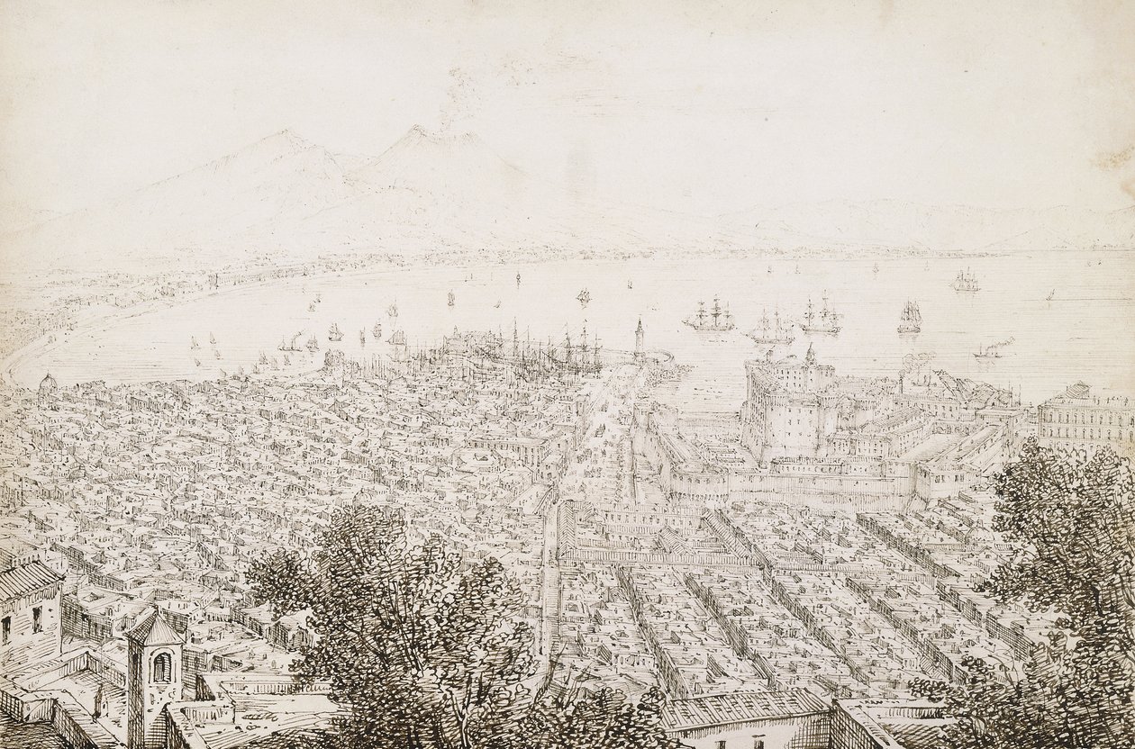 Een panoramisch uitzicht op Napels door Antonio Senape