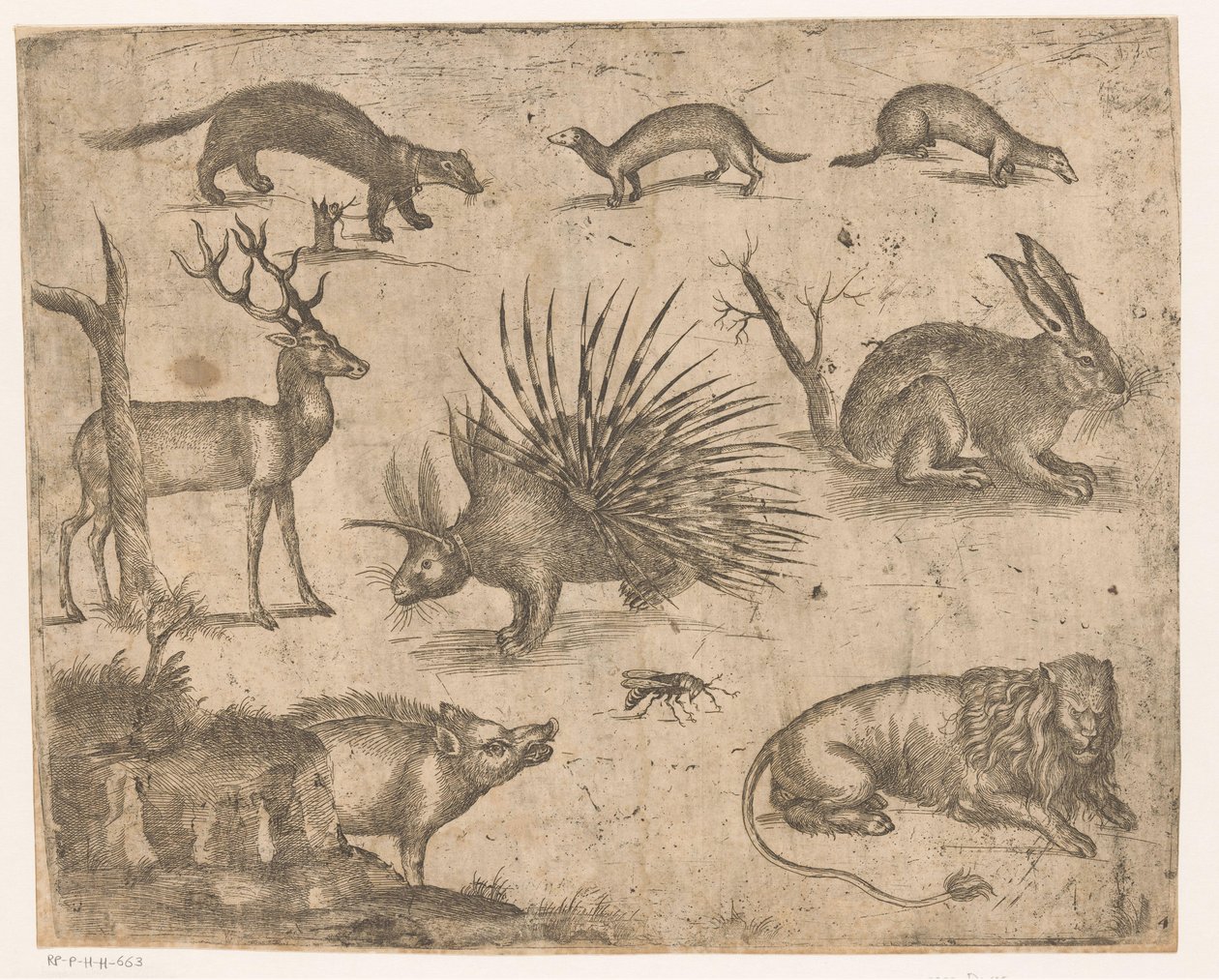 Studieblad met verschillende dieren door Antonio Tempesta (attributed to)