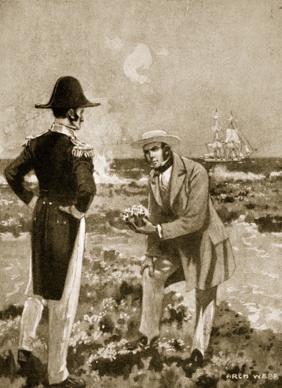 Darwin vindt een interessant exemplaar door Archibald Webb