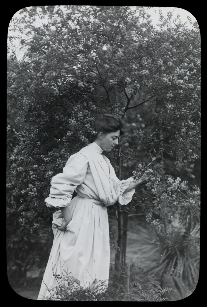 Amy Campbell met Wattle door Archibald James Campbell