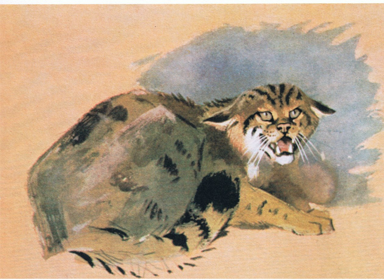 Wilde Kat, uitgegeven door Book Club Associates, 1972 door Archibald Thorburn