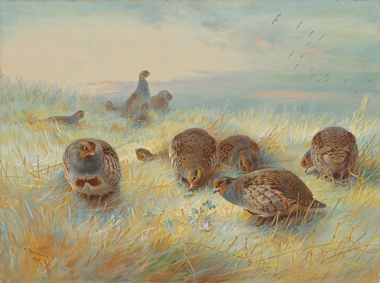 Een ijzige dageraad door Archibald Thorburn