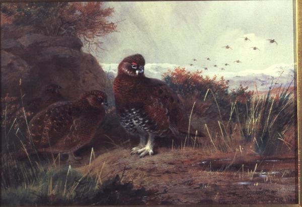 Patrijzen in een Winterlandschap door Archibald Thorburn