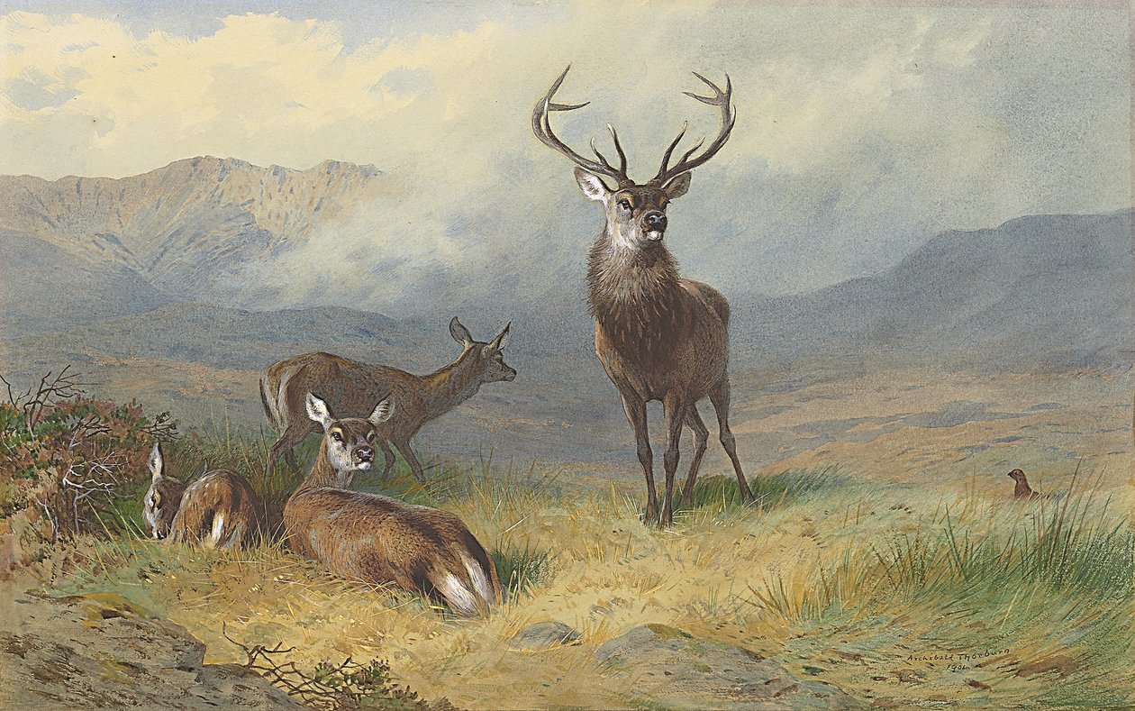 Monarch van de Glen door Archibald Thorburn