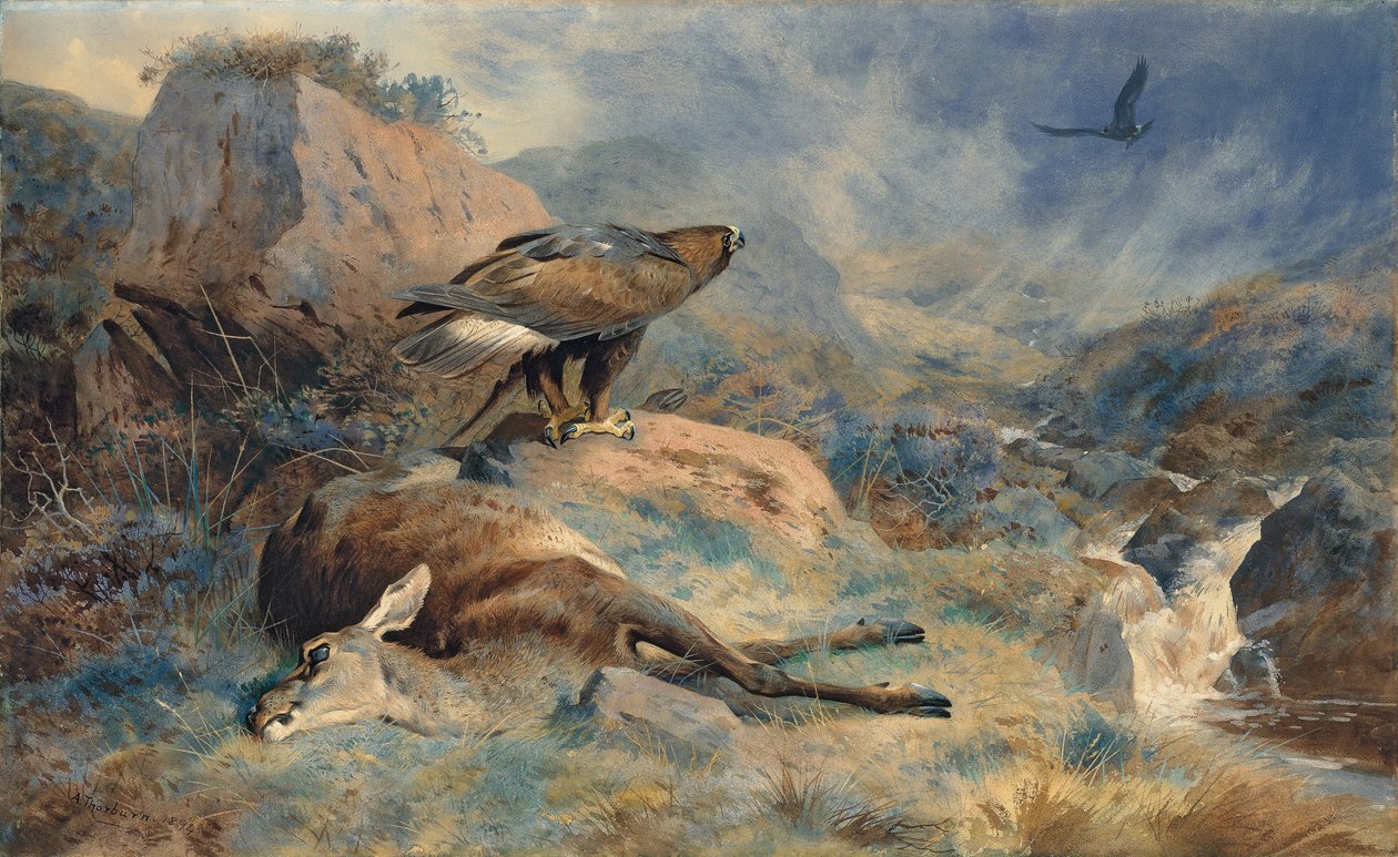 Het Verloren Hert door Archibald Thorburn