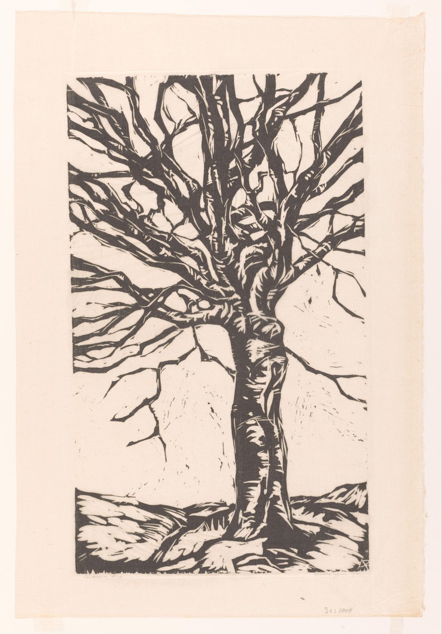 Kale boom door Arnold Pijpers (signed by artist)