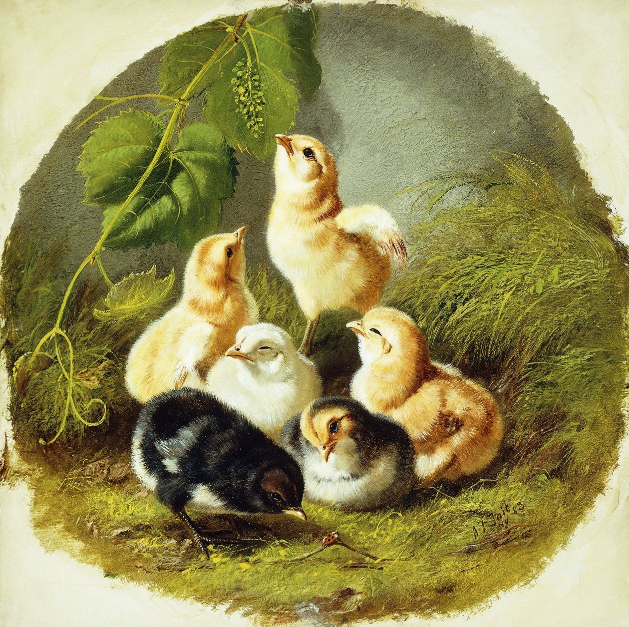 Kuikens, 1863 door Arthur Fitzwilliam Tait
