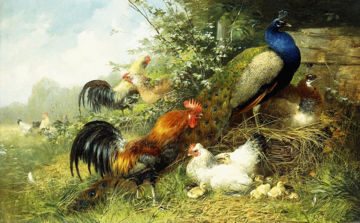Gevogelte en pauwen, 1899 door Arthur Fitzwilliam Tait