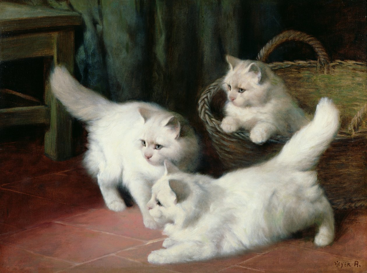 Drie witte Angora-kittens door Arthur Heyer