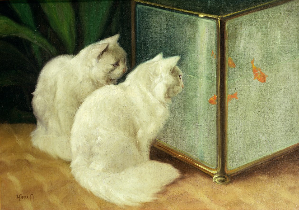 Witte katten kijken naar goudvissen door Arthur Heyer