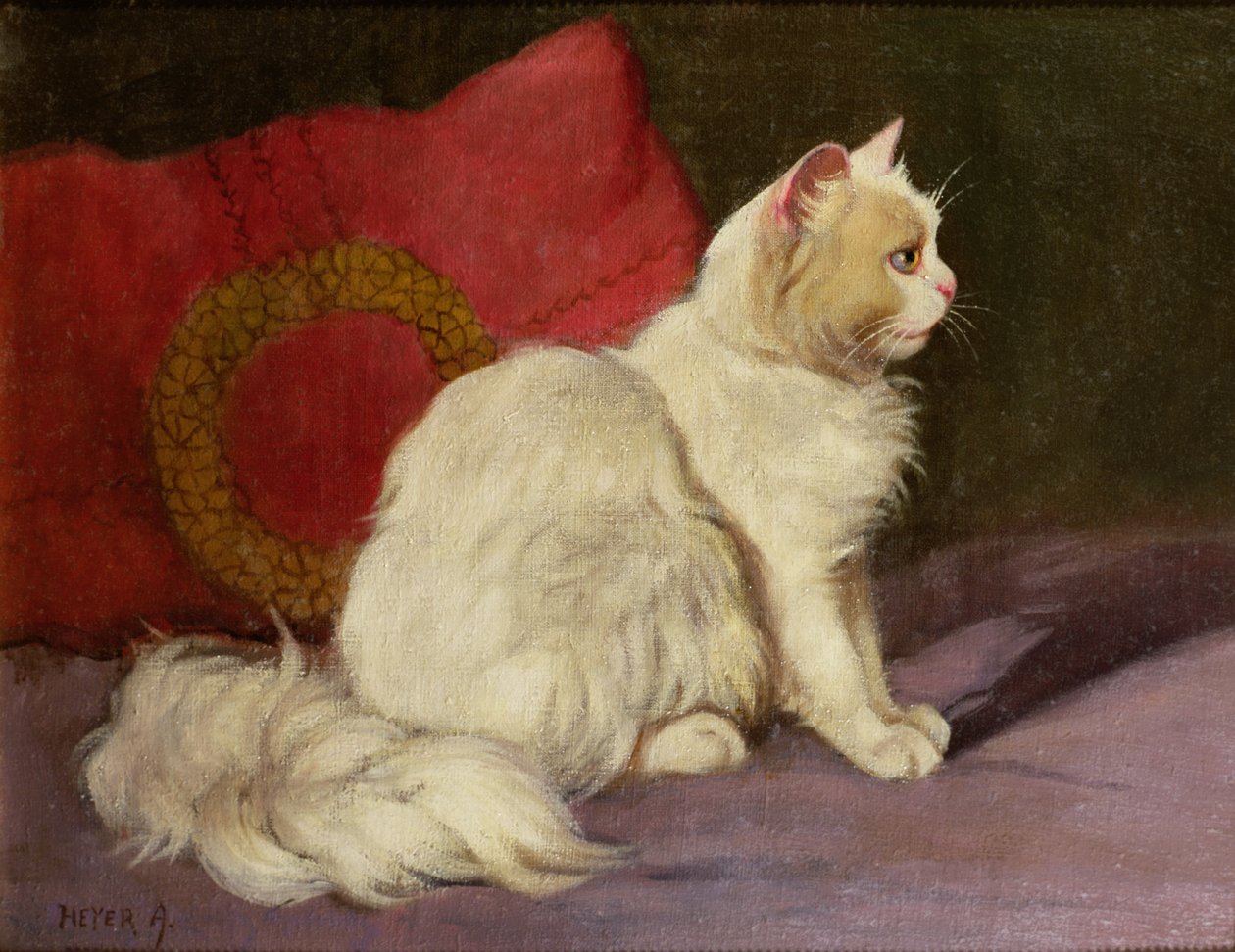 Witte Perzische Kat door Arthur Heyer