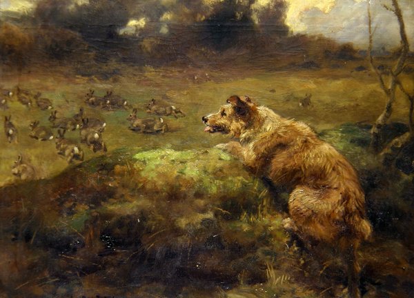 Konijnenjager door Arthur John Strutt