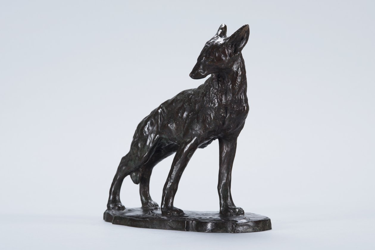 Alerte coyote door Arthur Putnam