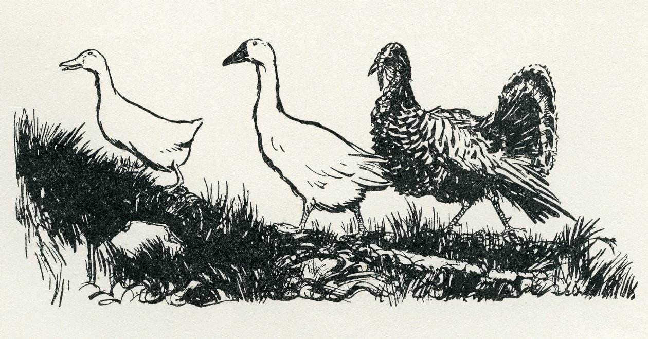Henny-Penny door Arthur Rackham