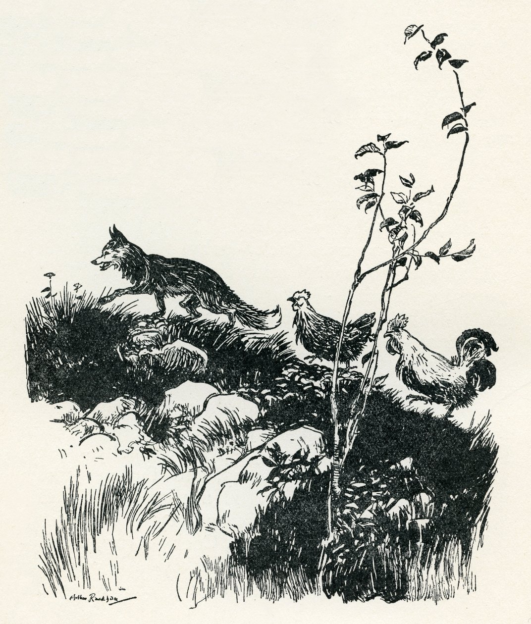 Henny-Penny door Arthur Rackham