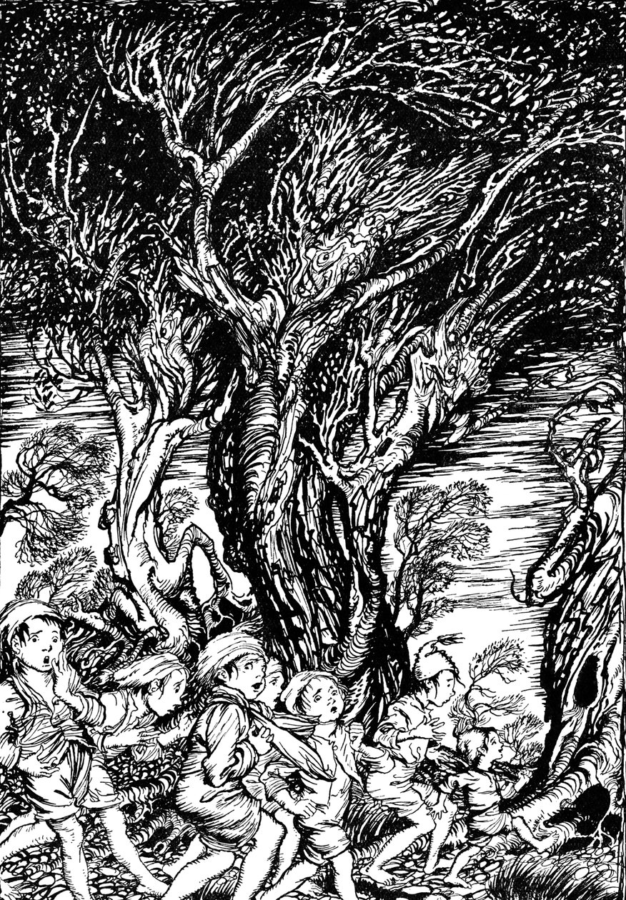 Het sprookjesboek van Arthur Rackham door Arthur Rackham