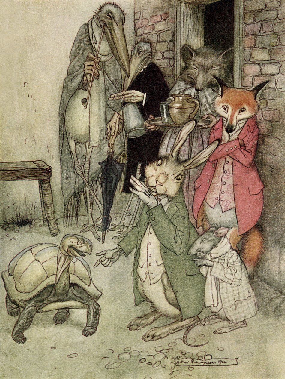 De Haas en de Schildpad door Arthur Rackham