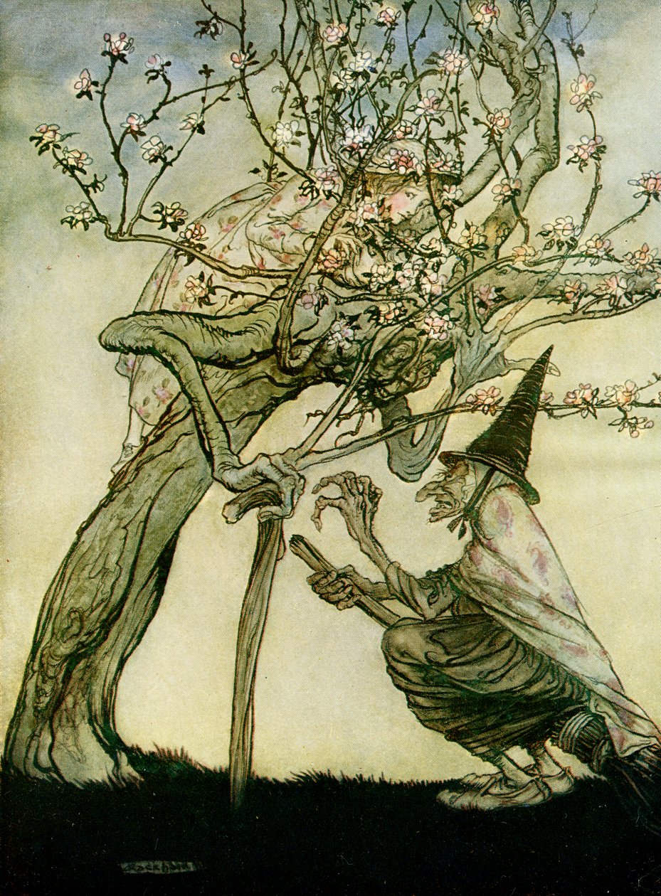De Twee Zusters door Arthur Rackham