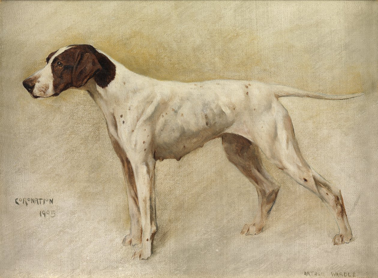 Kroning door Arthur Wardle