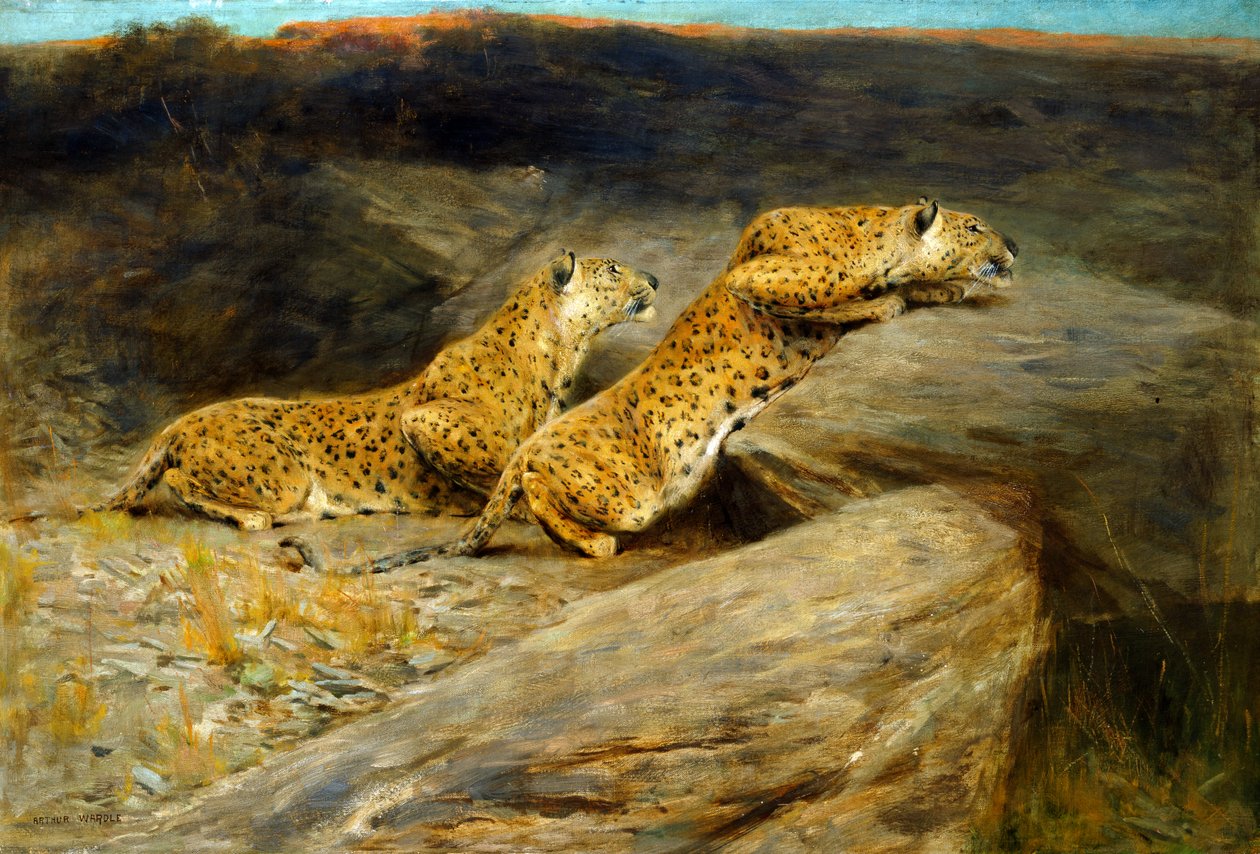Hertenjagers door Arthur Wardle