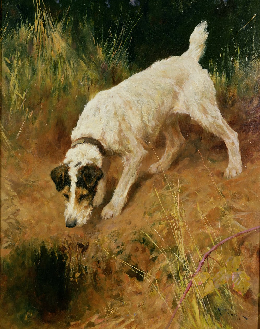 Fox Terrier door Arthur Wardle