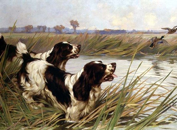 Twee Springers die Wilde Eenden Achtervolgen door Arthur Wardle