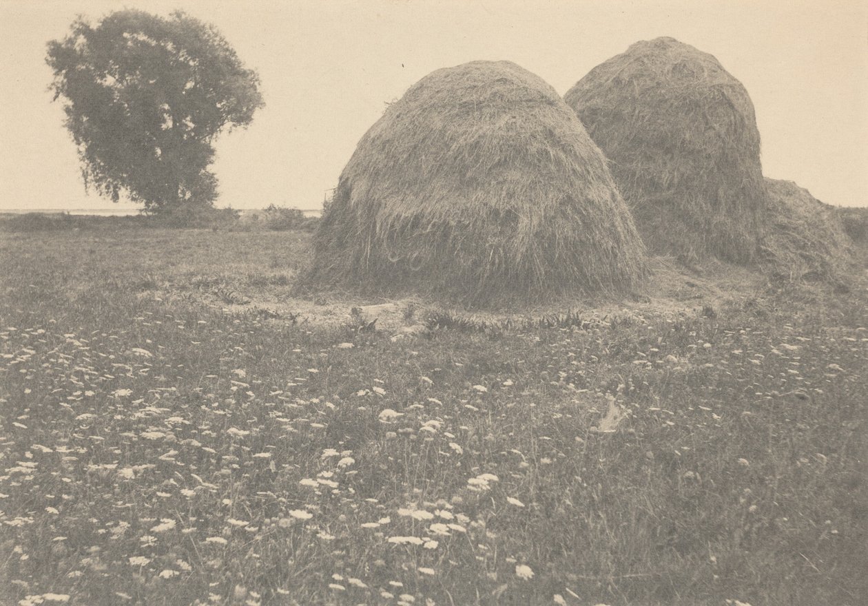 Hooibergen, Ipswich,c. 1894 (foto) door Arthur Wesley Dow
