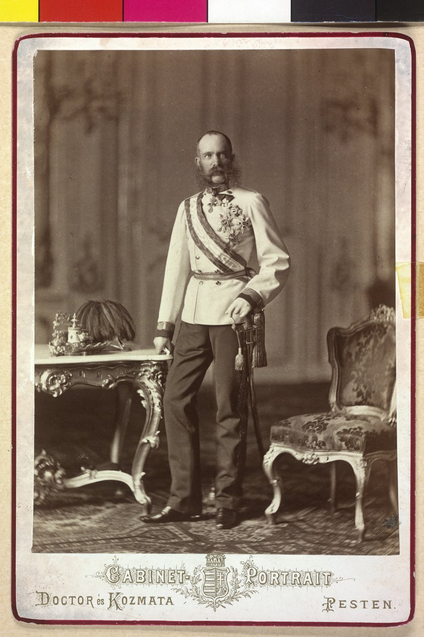 Franz Joseph I door Artist Unknown