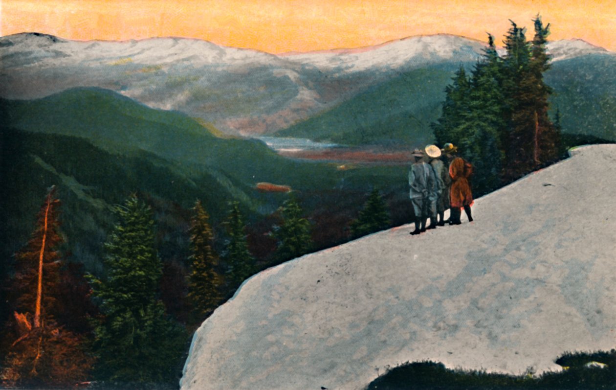 Uitzicht vanaf Mount Rainier door Asahel Curtis